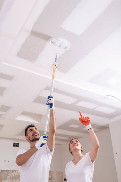 Best Ceiling Drywall Installation  in Montegut, LA