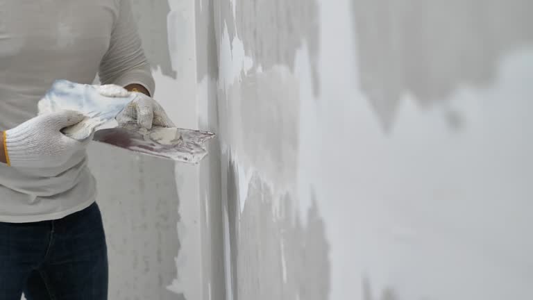 Best Drywall Texturing  in Montegut, LA